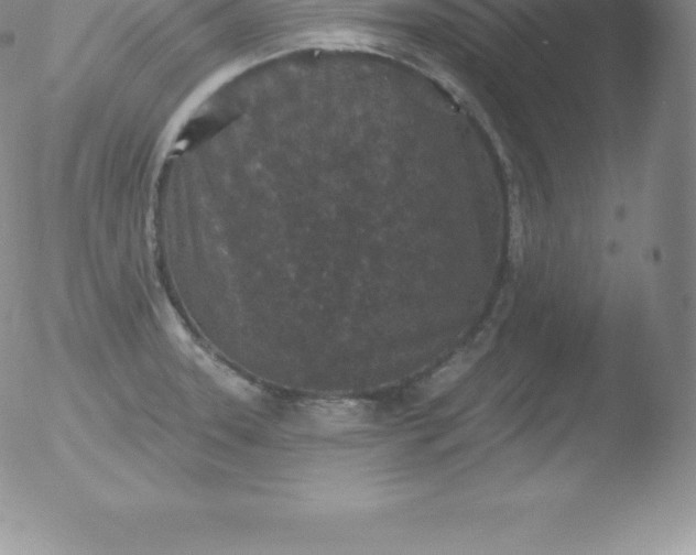 X0000051891331200507081929