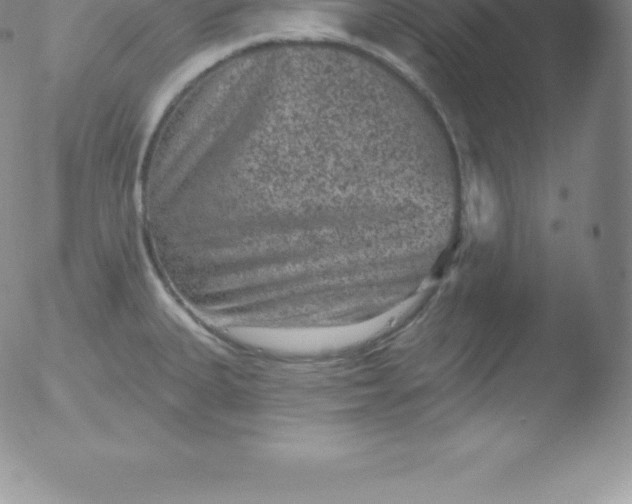 X0000051891335200507081929