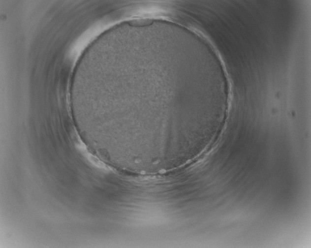 X0000051891336200507081929