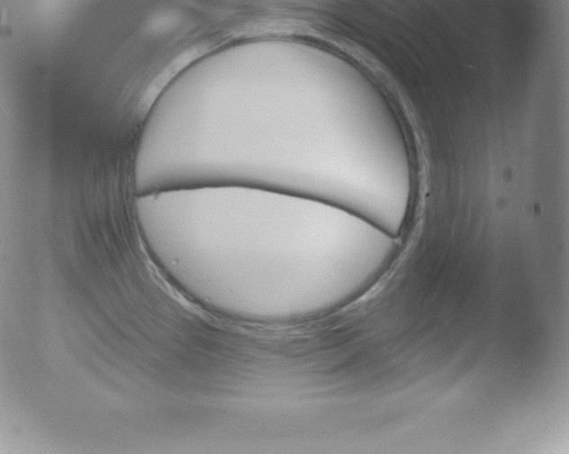 X0000051891337200507081929