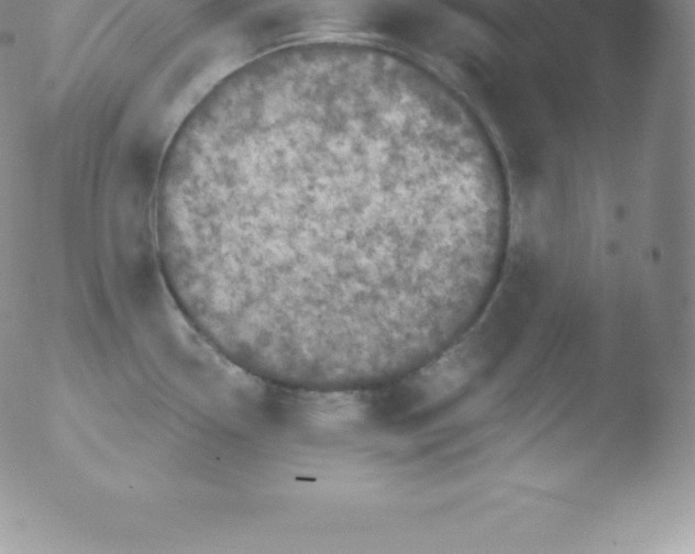 X0000051891338200507081929