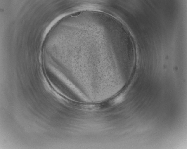 X0000051891339200507081929