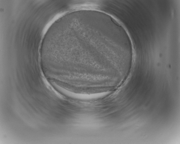 X0000051891341200507081929