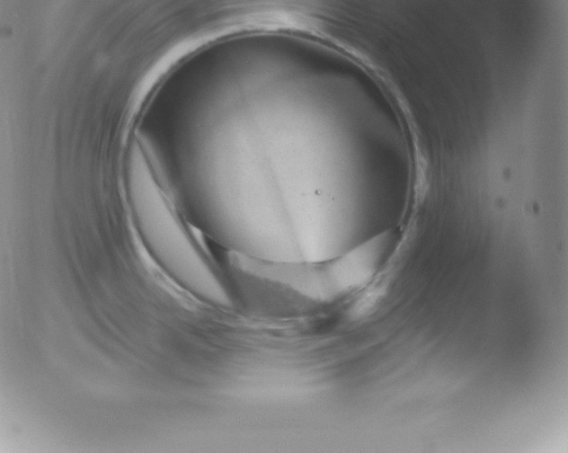 X0000051891342200507081929