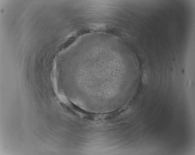 X0000051891345200507081928