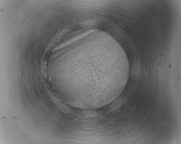 X0000051891346200507081928