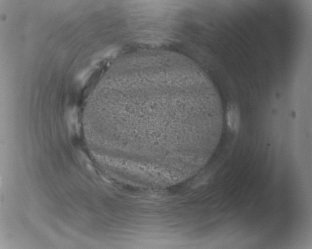 X0000051891347200507081928