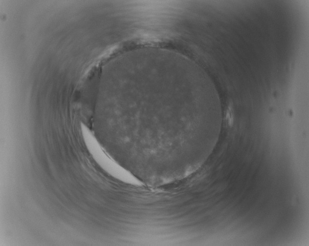 X0000051891348200507081928