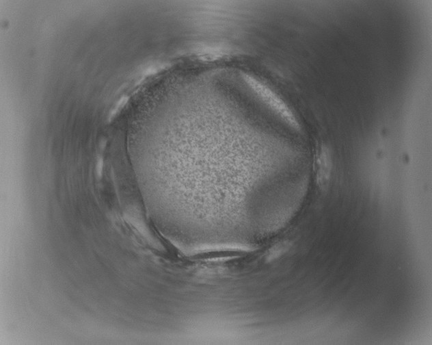 X0000051891349200507081928