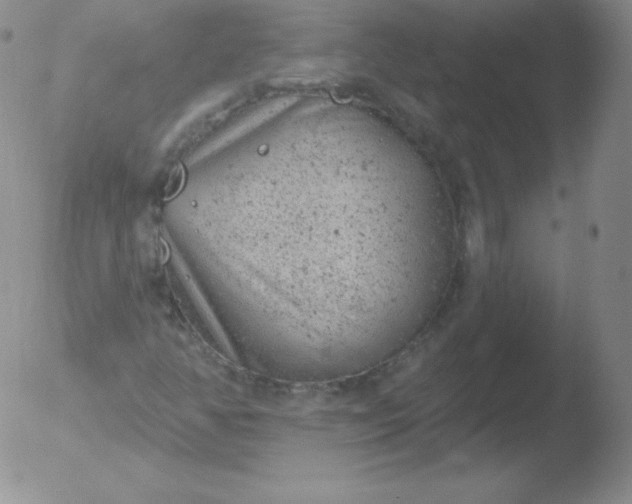 X0000051891350200507081928