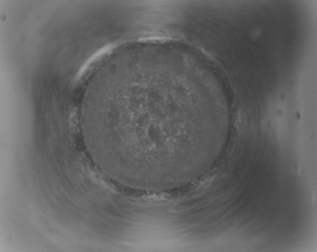 X0000051891351200507081928