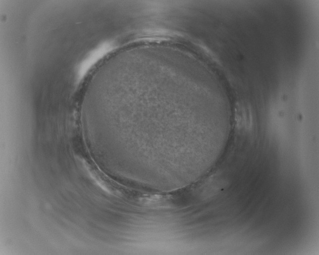 X0000051891352200507081928