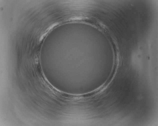 X0000051891353200507081928