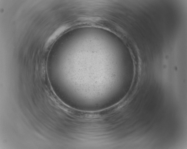 X0000051891354200507081928