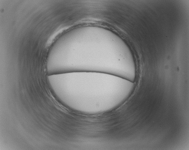 X0000051891355200507081928