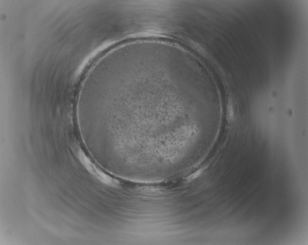 X0000051891356200507081928