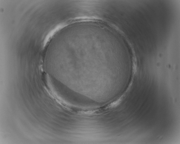 X0000051891357200507081928