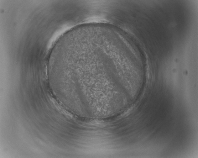 X0000051891358200507081928