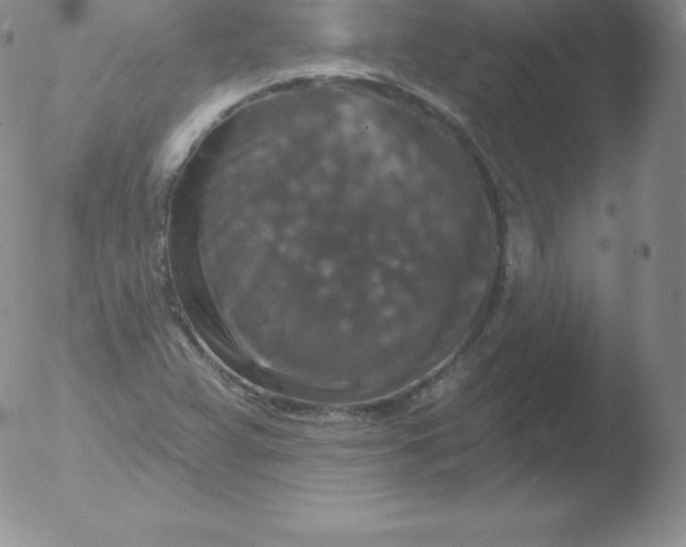 X0000051891359200507081928