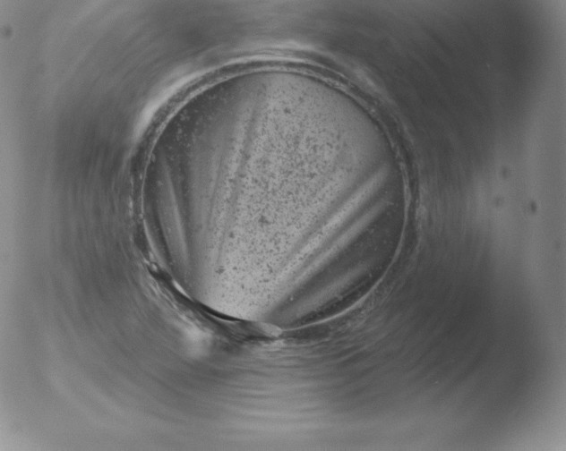 X0000051891360200507081928