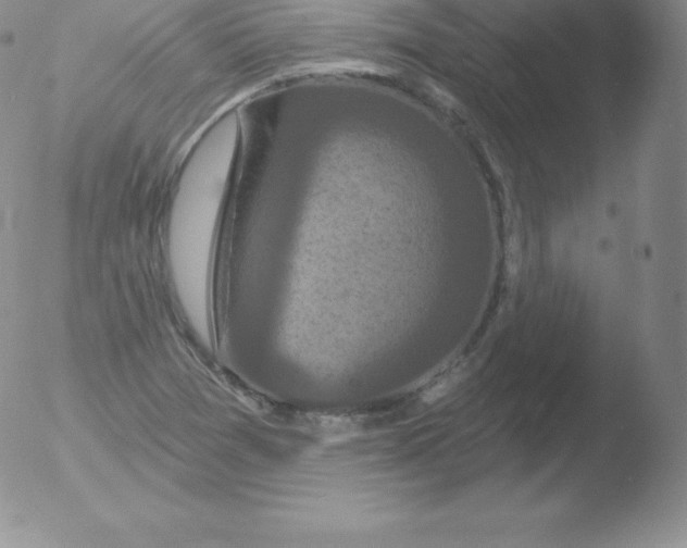 X0000051891361200507081928