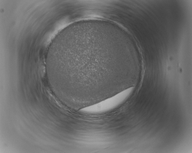 X0000051891363200507081928