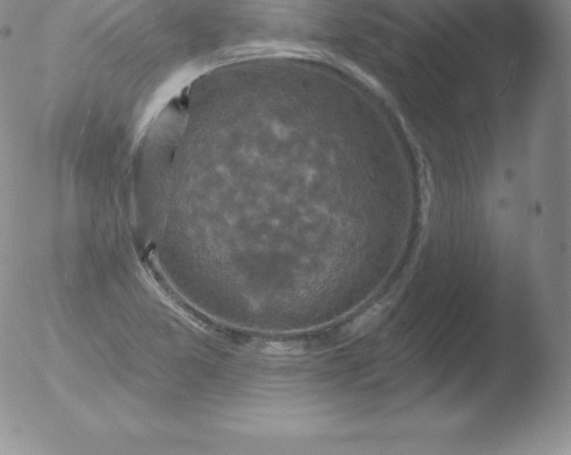 X0000051891365200507081928