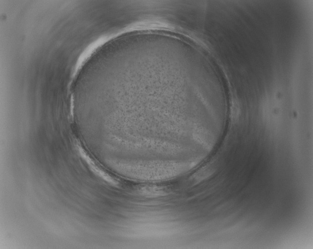 X0000051891366200507081928