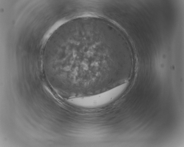 X0000051891367200507081928