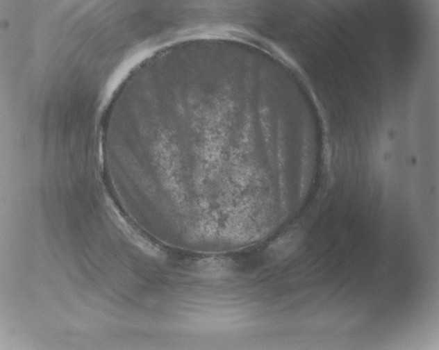 X0000051891368200507081928