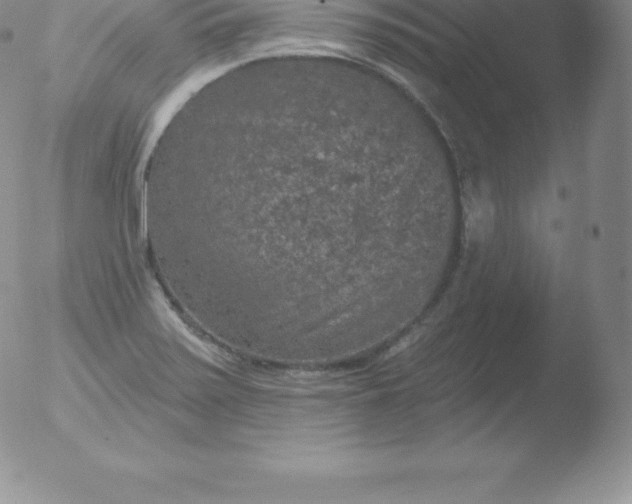 X0000051891371200507081928