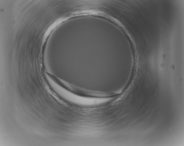 X0000051891373200507081928