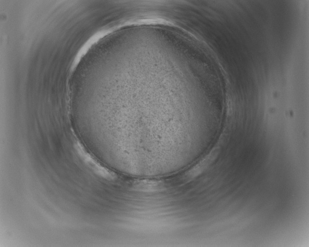 X0000051891374200507081928