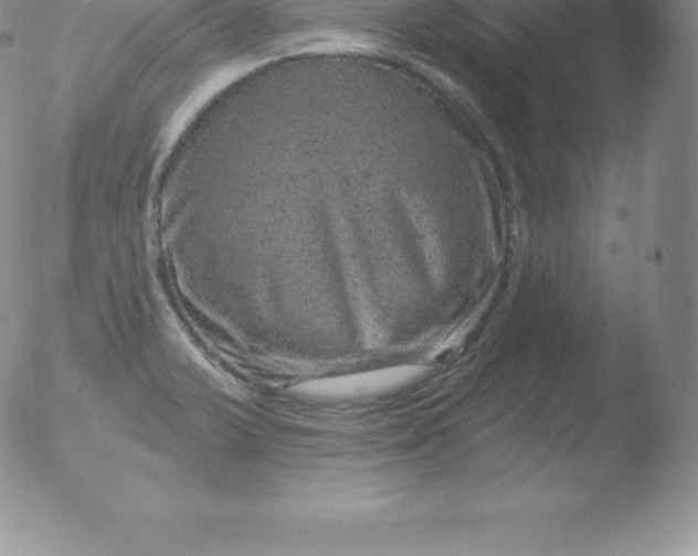 X0000051891375200507081928