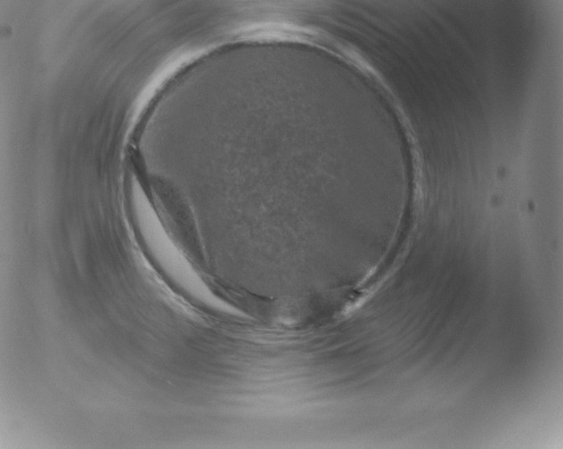 X0000051891376200507081928