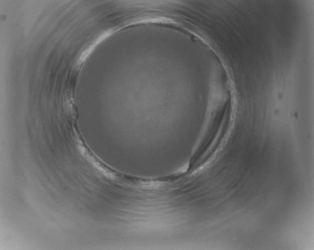 X0000051891377200507081928