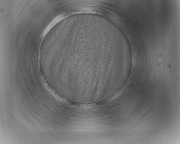 X0000051891378200507081928