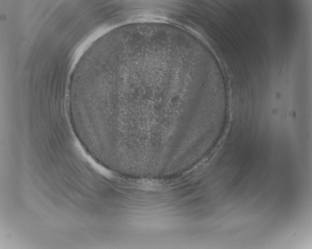 X0000051891379200507081928