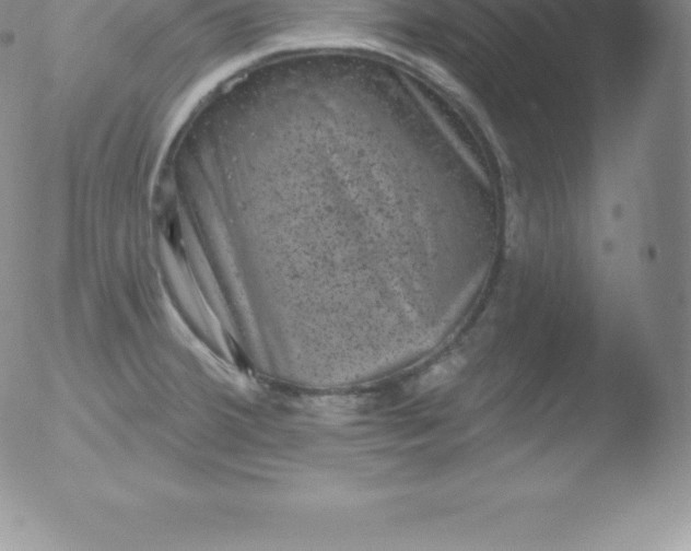 X0000051891380200507081928