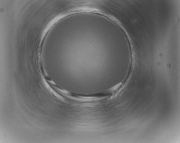 X0000051891381200507081928