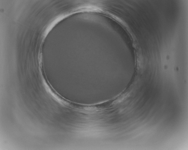 X0000051891383200507081928