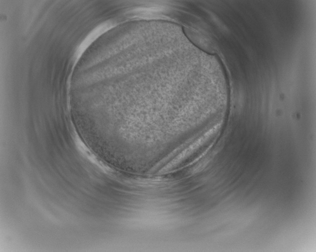 X0000051891386200507081928