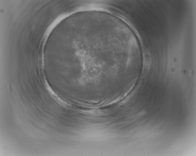 X0000051891388200507081928