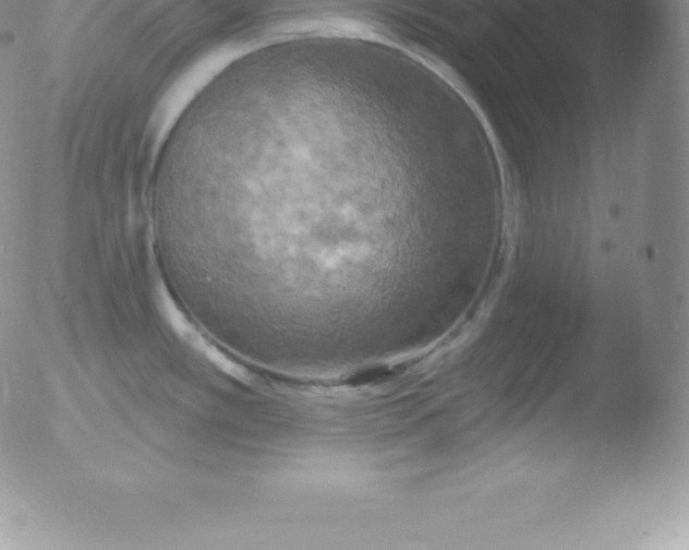 X0000051891389200507081927