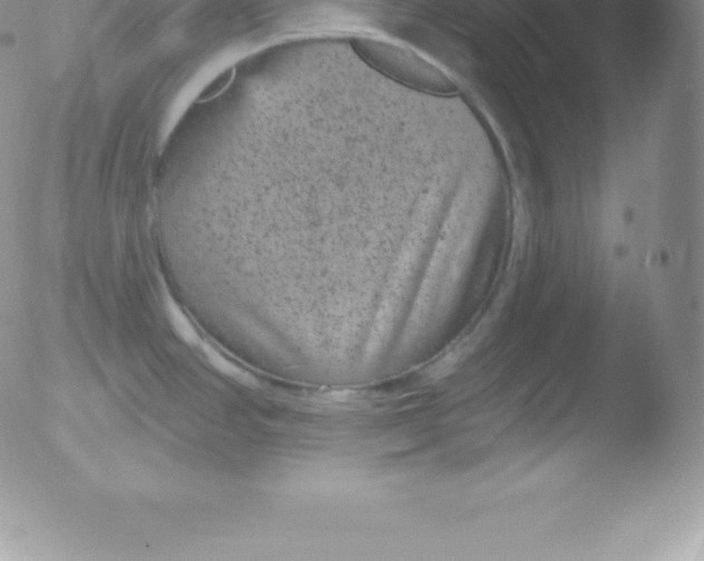 X0000051891390200507081927