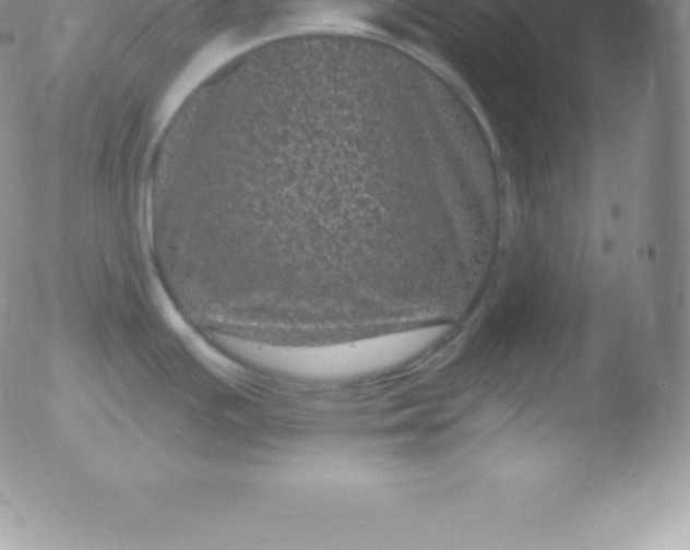 X0000051891391200507081927