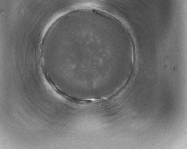 X0000051891392200507081927