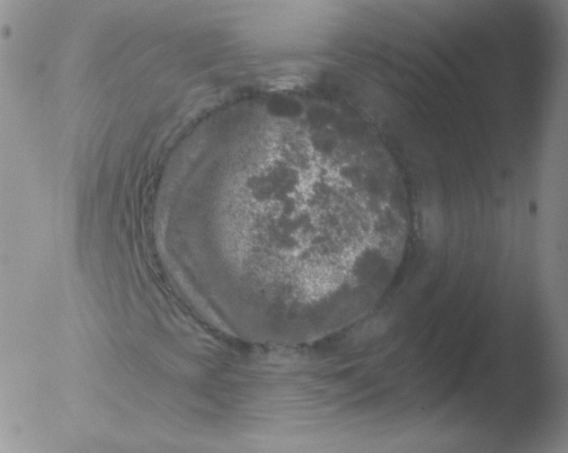 X0000051891393200507081927