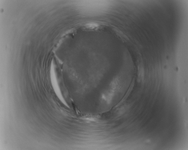 X0000051891394200507081927