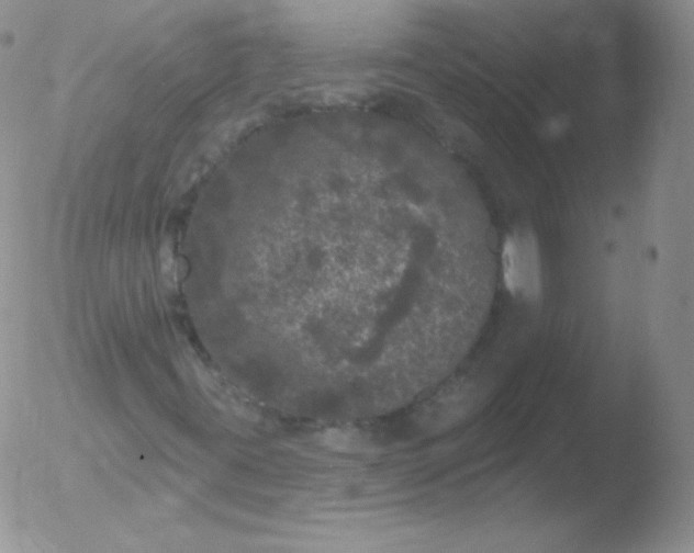 X0000051891395200507081927